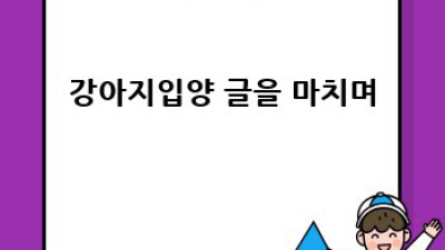 사랑스러운 우리 강아지, 입양 준비 완벽 가이드