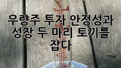우량주 투자: 안정성과 성장, 두 마리 토끼를 잡다!